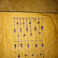 nelson jose cruz rodriguez