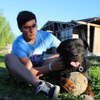 Nicolas Jesus Vera Cortez