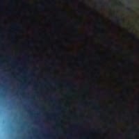 danil xd332
