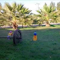 fernanda jerez tapia