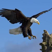 Jose De Jesus Garcia Vela