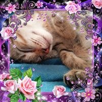 Laura  Muñoz Calabuig