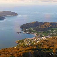 Jose Antonio Carreja Rego