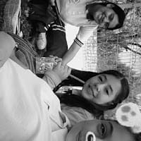 las DANS