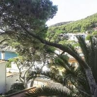 Mònica Casadesús