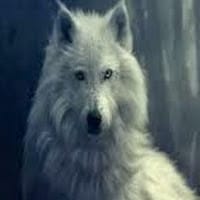 Ice Wolf Play
