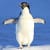 D3aD_ DITZz-