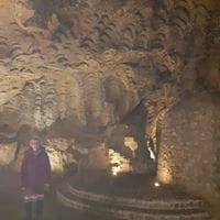 Lourdes Piferrer Morte