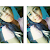 Ana litzy CR