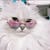 Fluffy Cat