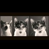 Luis Enrrique Justiniano cabrera