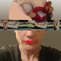 Maria Jose rios araya