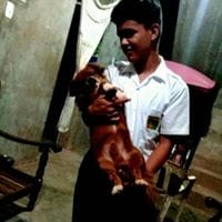 fernando  ramirez davila