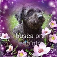 Jacqueline González