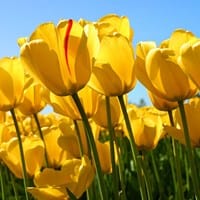 Paola Rivera payola92