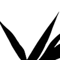 Maria Camila Oviedo R