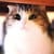satoshi aurion