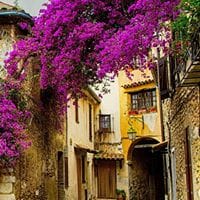 Paula Maria  Cáceres