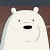 polar polar