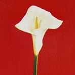 La querol