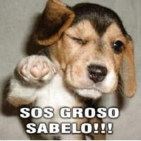 Liu Gabriel Monge Fonseca