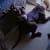 FunnyPitbulls