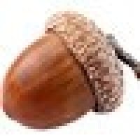 Agustín Begara Jiménez