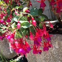 Augusto García Fernández