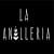 laanilleria cl