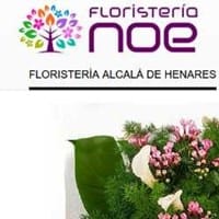 Floristeria Noe