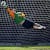 El crack