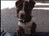 alan_sm