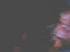 alicia_deeps