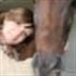 anilla7