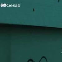 Gesab Com Mx