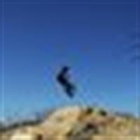 Victorgd García Dorado