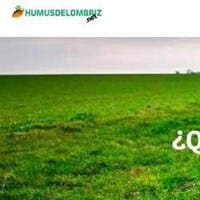 Humus de Lombriz