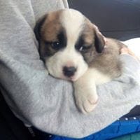 Aurora Gonzalez Garcia