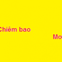 mo thay chiem bao