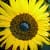 Gladys Garcia