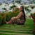 Lisbeth Jimenez