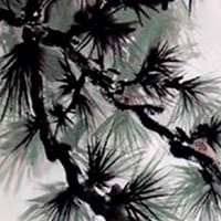 miguel florido macias