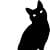 Cat Black