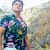 Alexander oficial. com