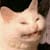 jocfa uwu owo