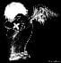 biodark