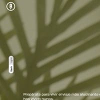 Universo Apolo