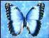 blue_ts