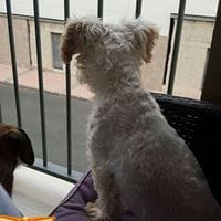 Beatriz Moreno Jiménez