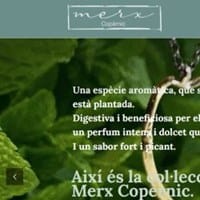Joieria Copernic